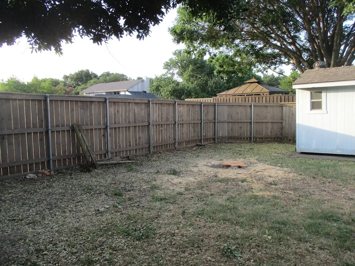 Cleared yard after professional tree removal in Galesburg