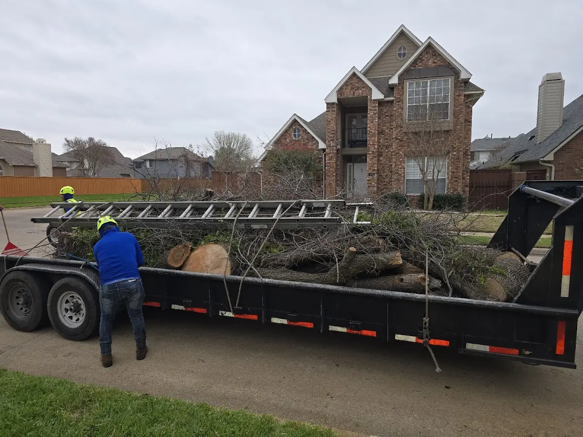 Expert Tree Pest Control with proper safety equipment in Galesburg
